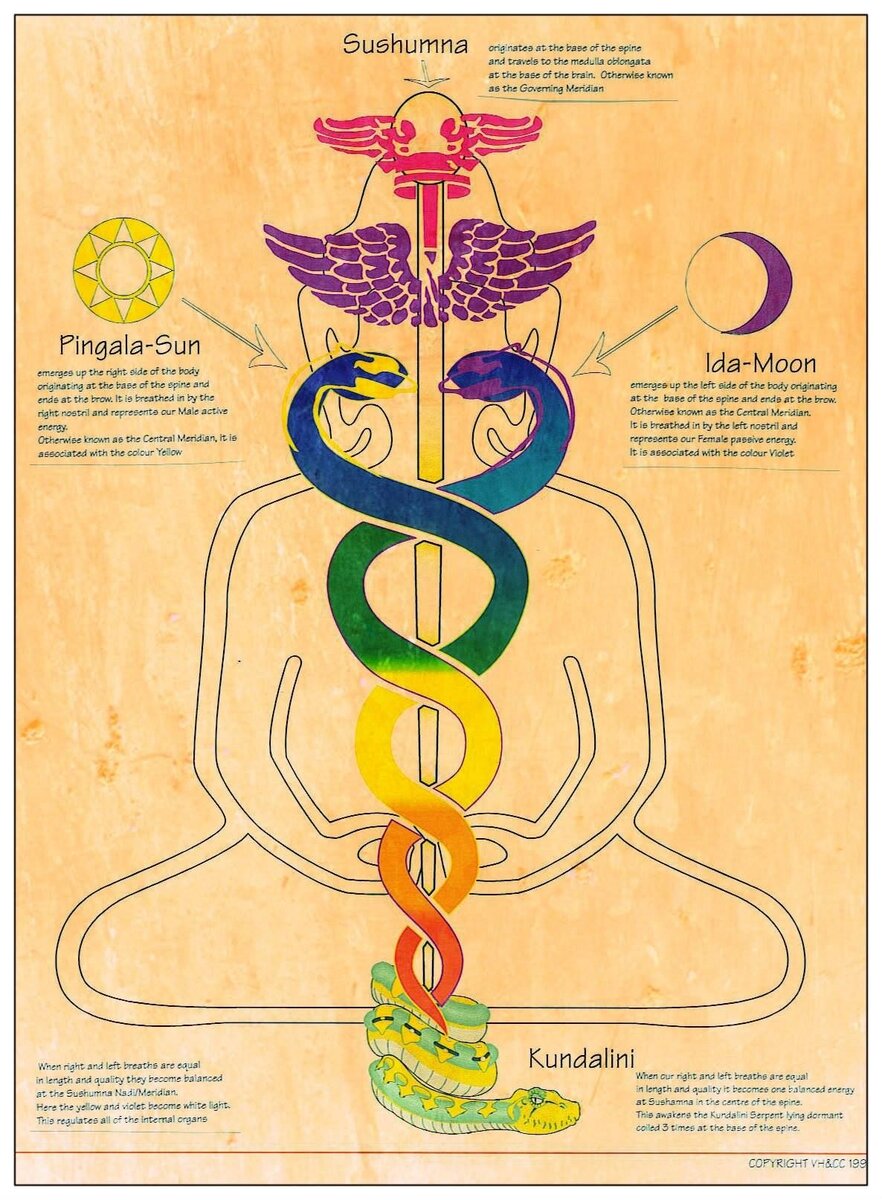 Схема энергетической системы человека по знаниям Йоги (Иллюстрация из интернета)