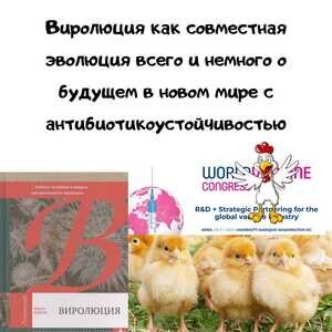Миграция птиц и риск распространения вирусов