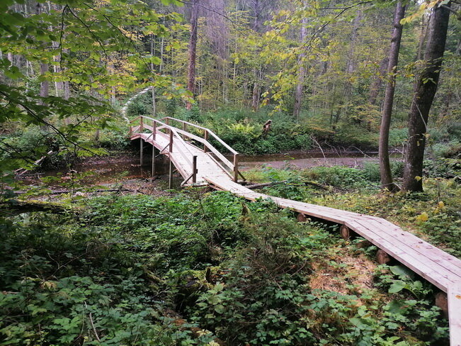 Фото: vk.com/smolensk_lakeland