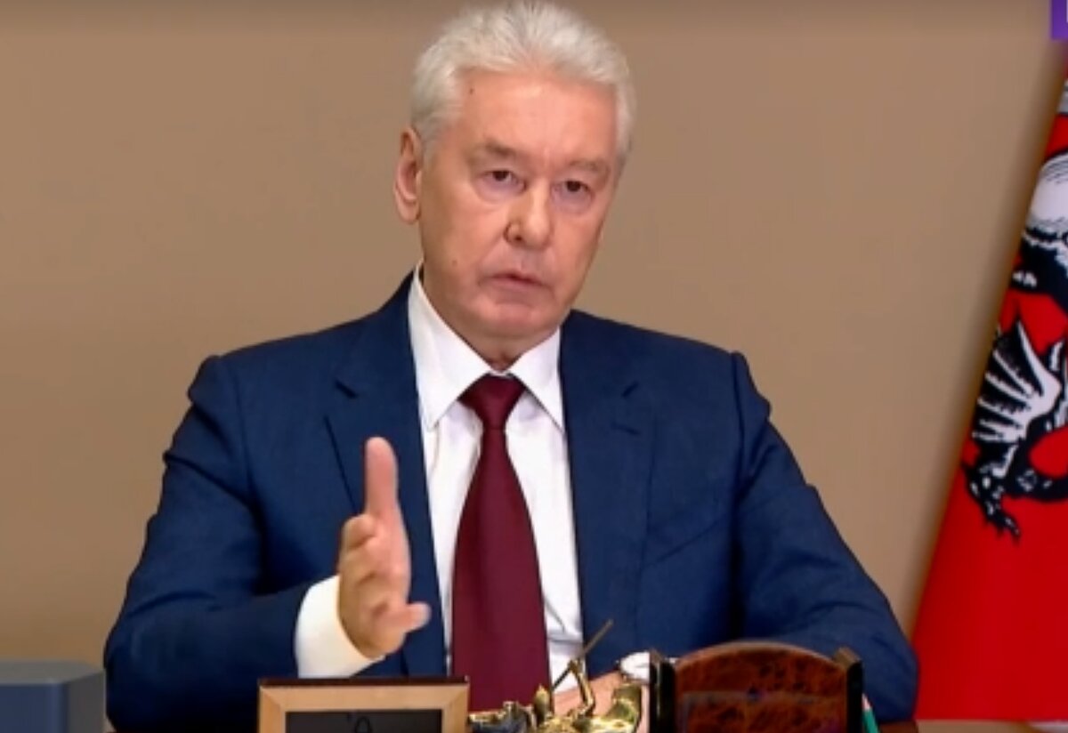 Мэр Москвы докладывает Президенту РФ о начале кампании по массовому экспресс-тестированию на COVID-19 в Москве (скрин из видео, Известия)