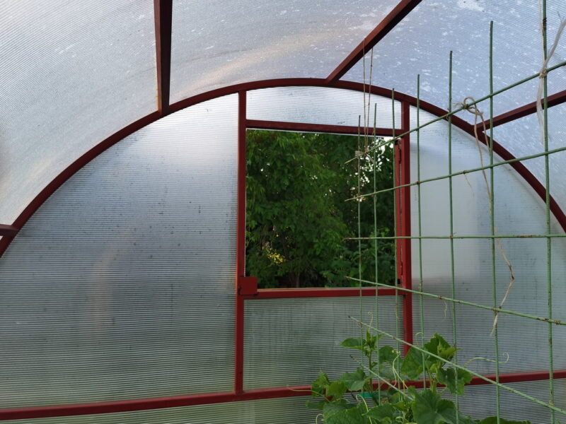 Теплица. Иллюстрация для статьи используется по стандартной лицензии ©ofazende.com