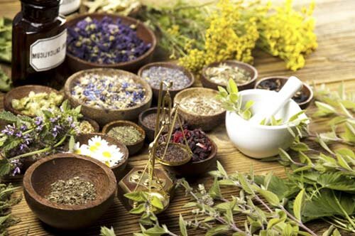 Травяные настои при онкологии