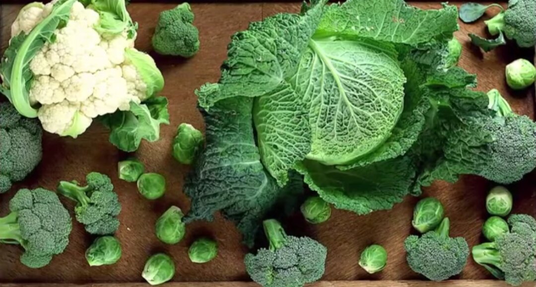 Семеиство крестоцветных