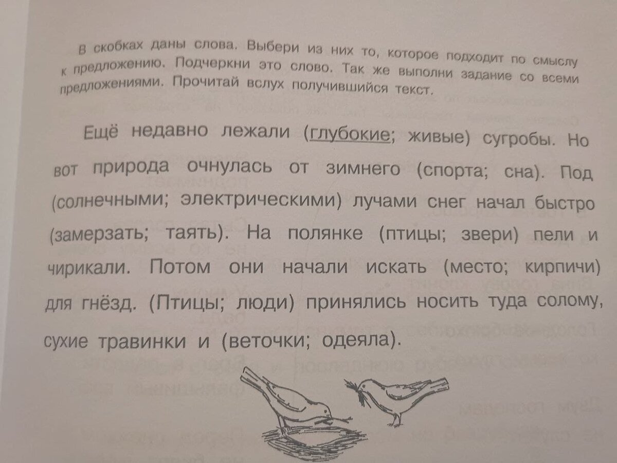 "Смысловое чтение" Буракова