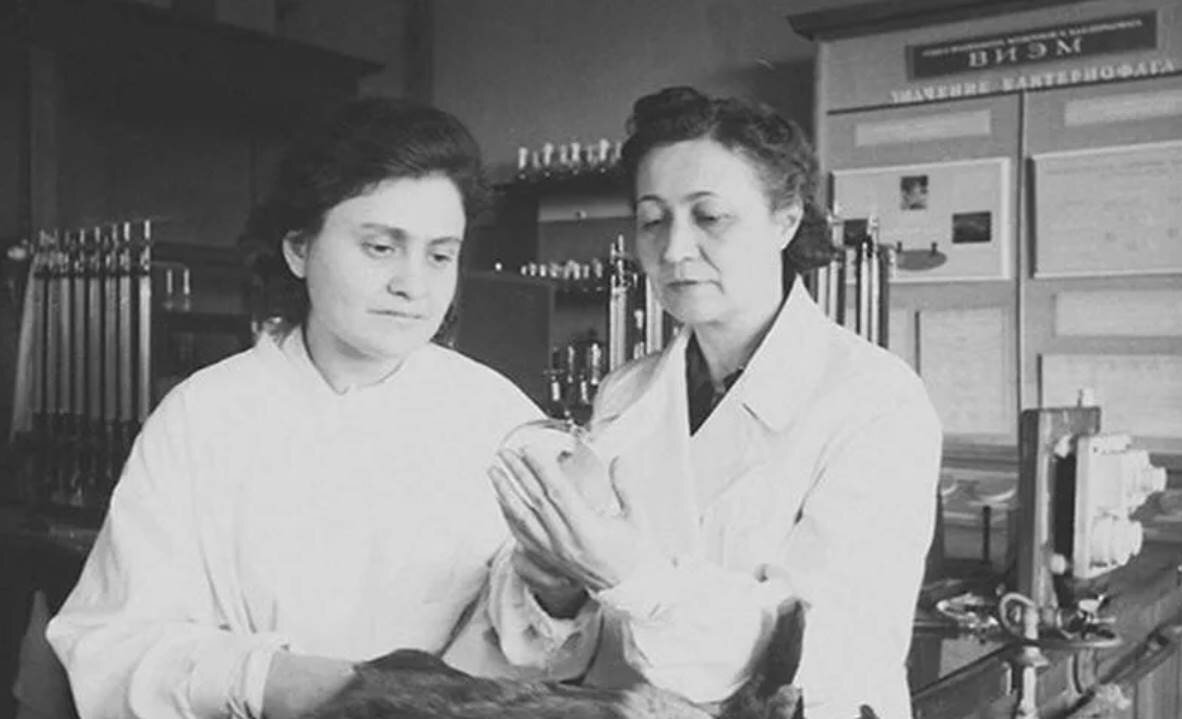 Разработка вакцины