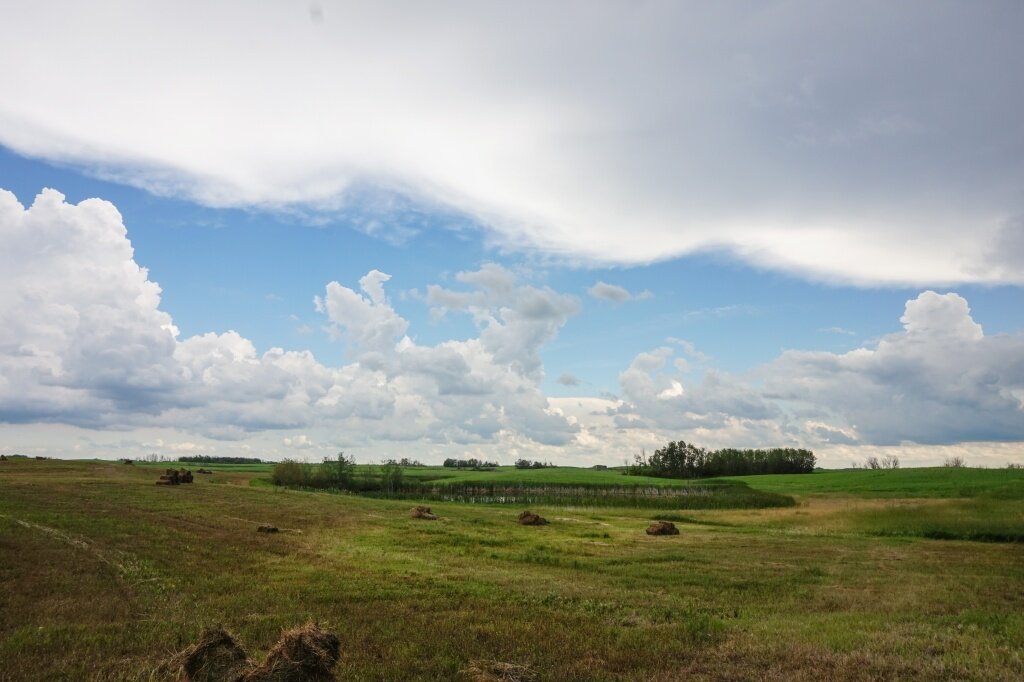 В Тверской области 15 тысяч участков с марта сменят статус на «архивный». Оформлять их нужно будет заново