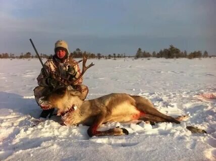 Охота на оленей.