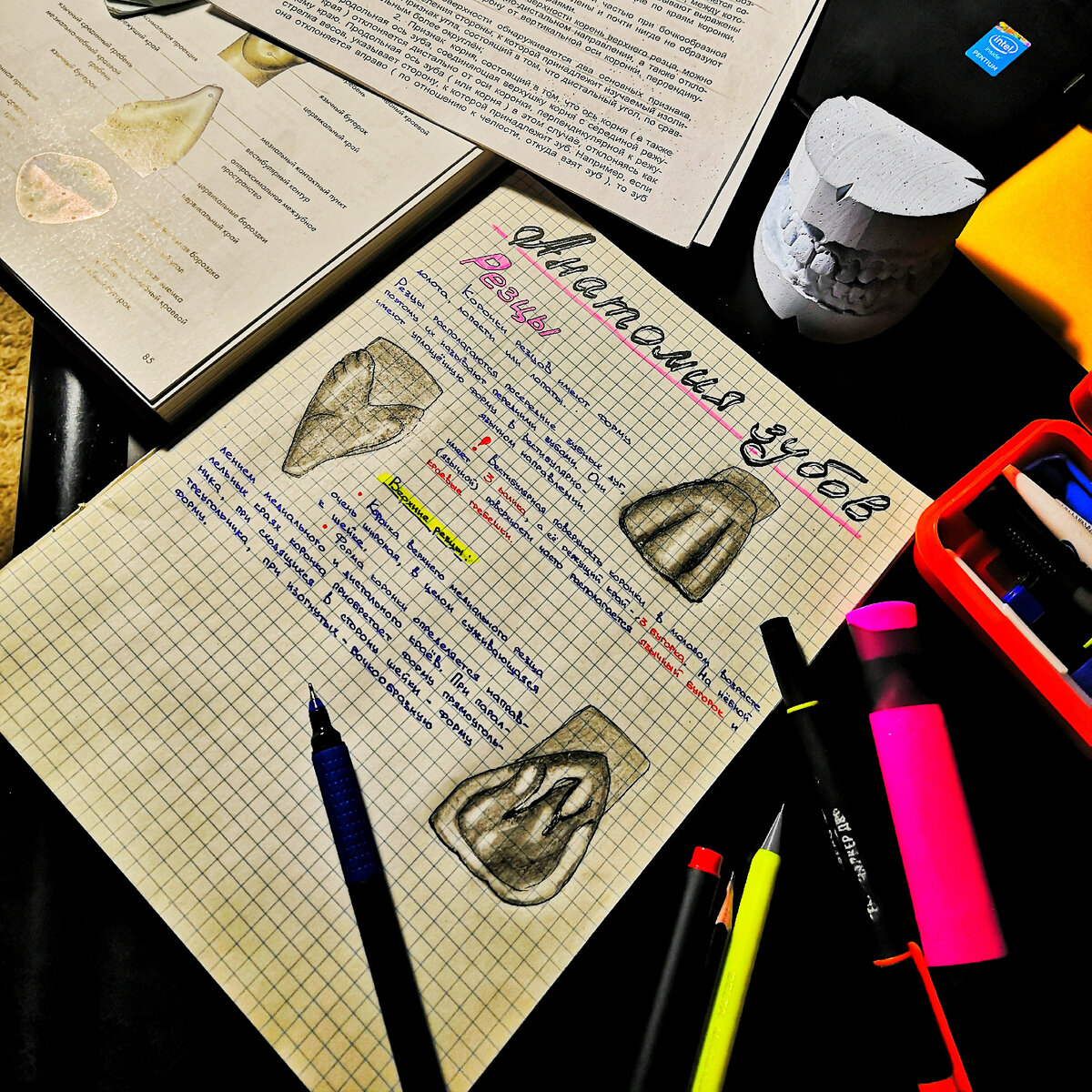 Рисунок 1. Учеба в колледже развлекательна и разнообразна. Нужно уметь и писать и рисовать.