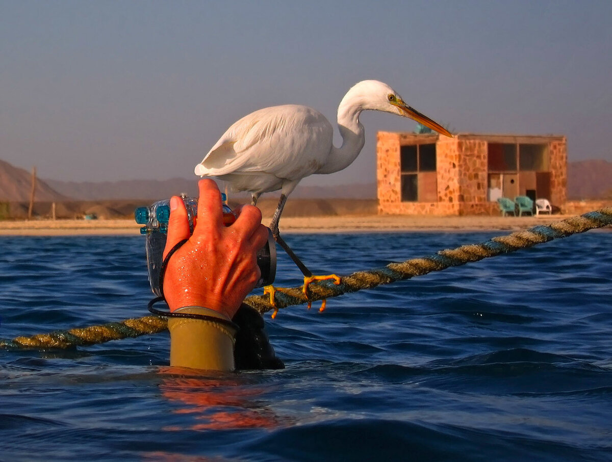 фото: lensart.ru