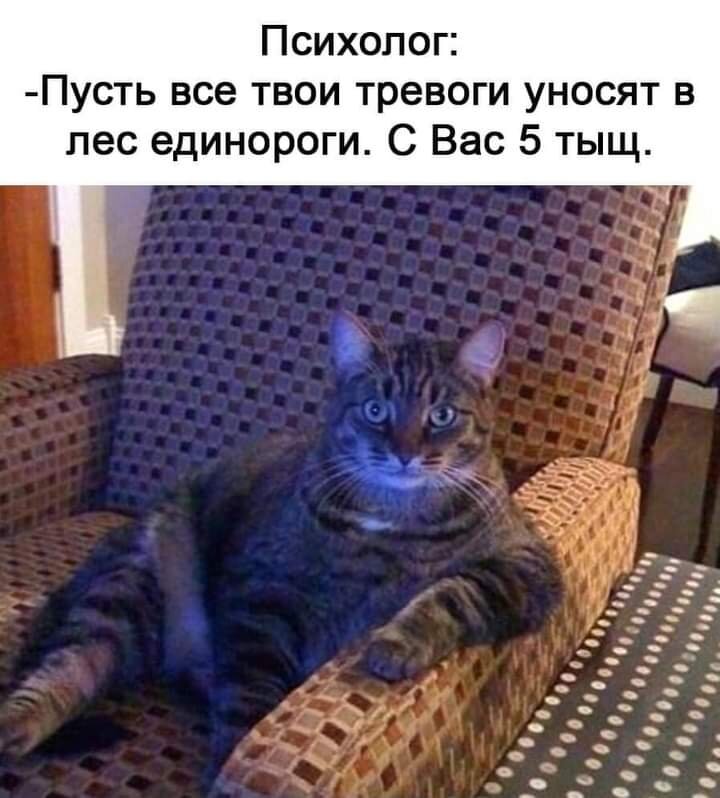 иллюстрация из яндекс картинки.