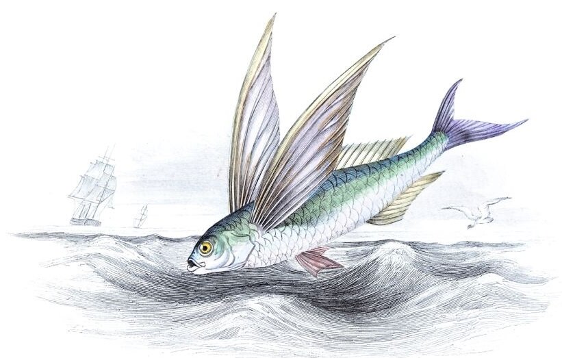 Источник: yandex.ru 