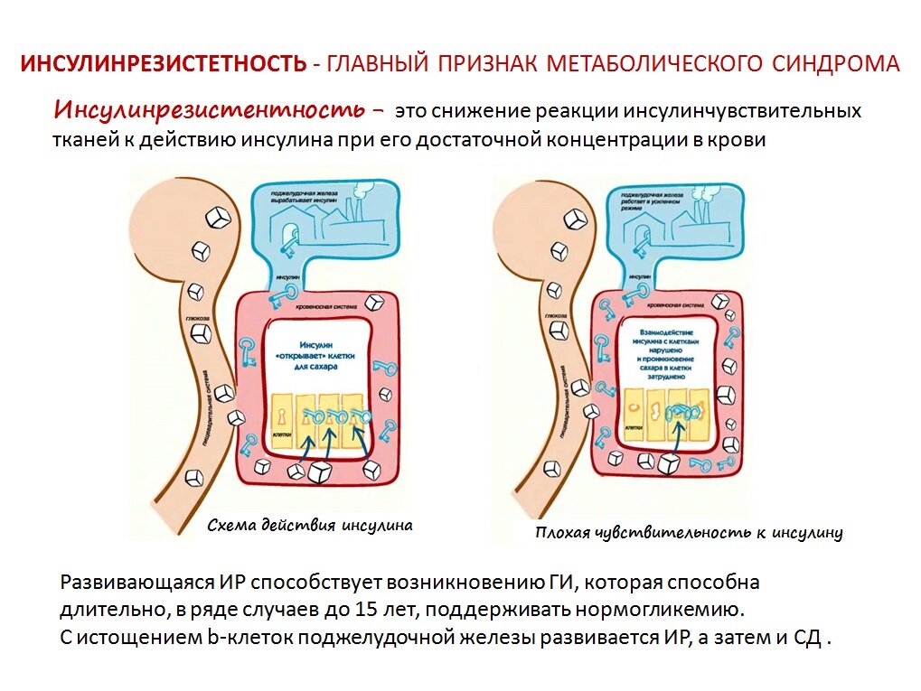 Инсулинорезистентность нома. Инсулинорезистентность добавки. Инсулинорезистентность вектор. Инсулинорезистентность у детей.