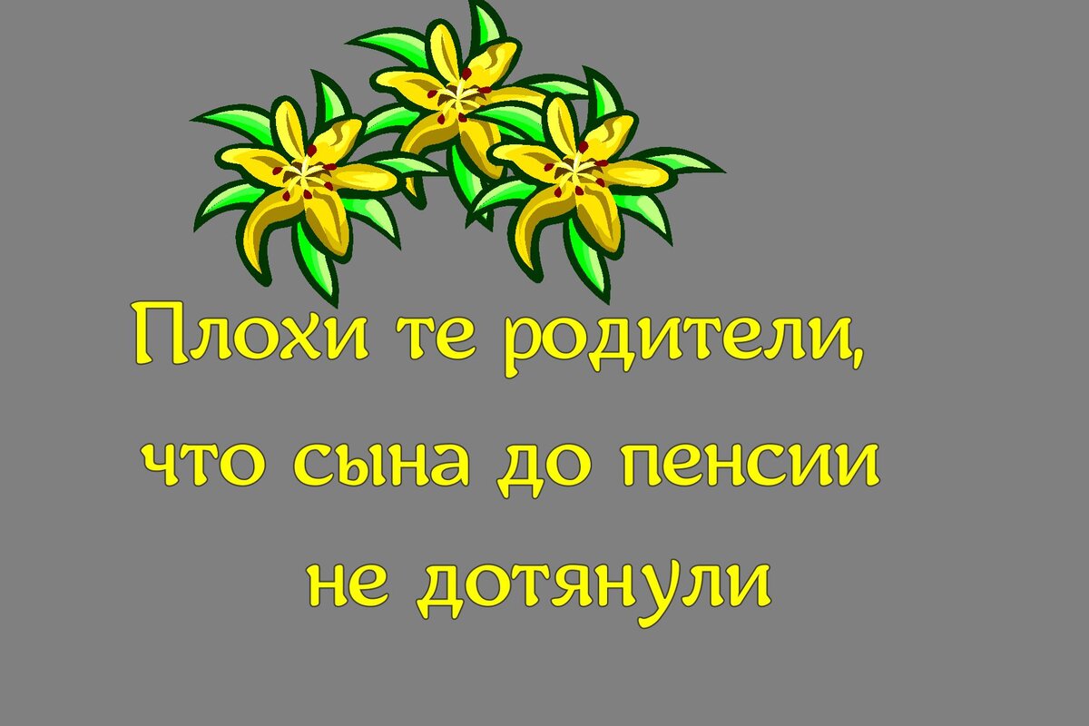 Плохи те родители, что сына до пенсии не дотянули. (шутка) 