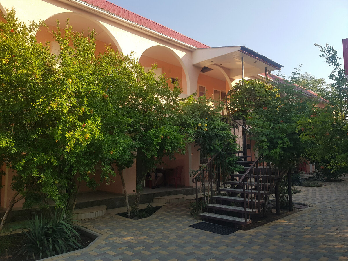 Гостевой дом "Коктебель" в Курортном. Фото Анна Карпенко. 