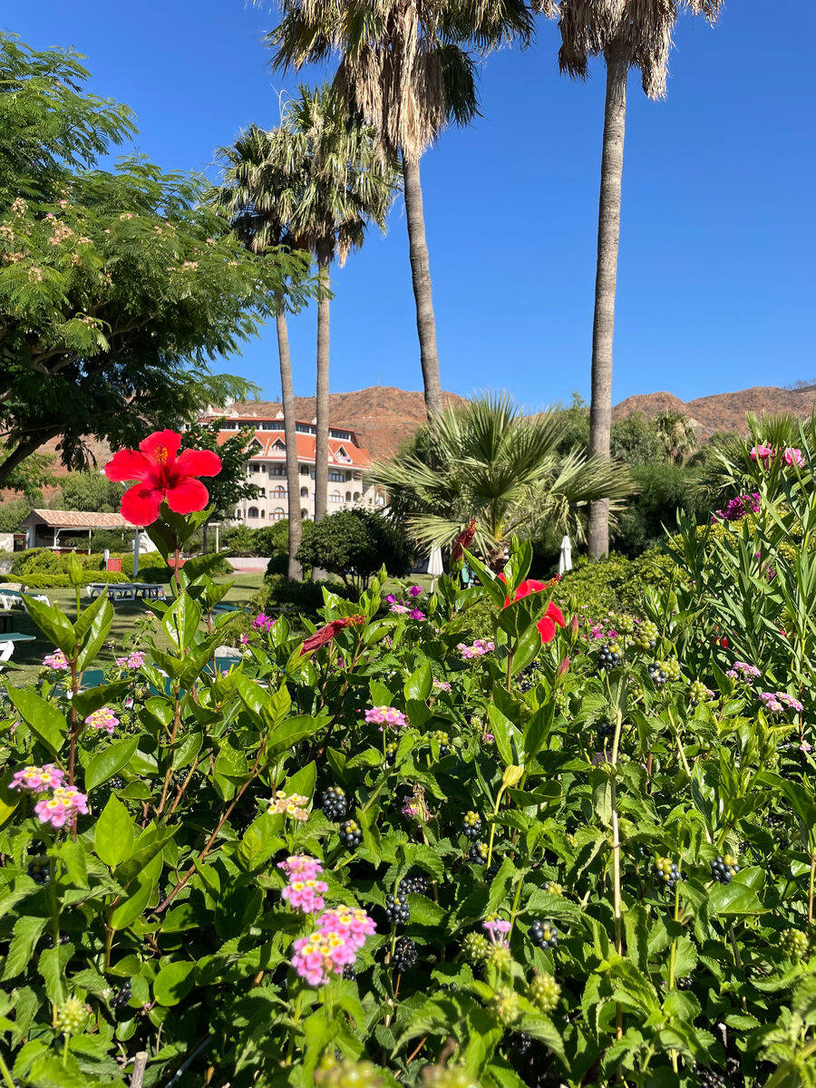 На заднем плане видны сгоревшие горы