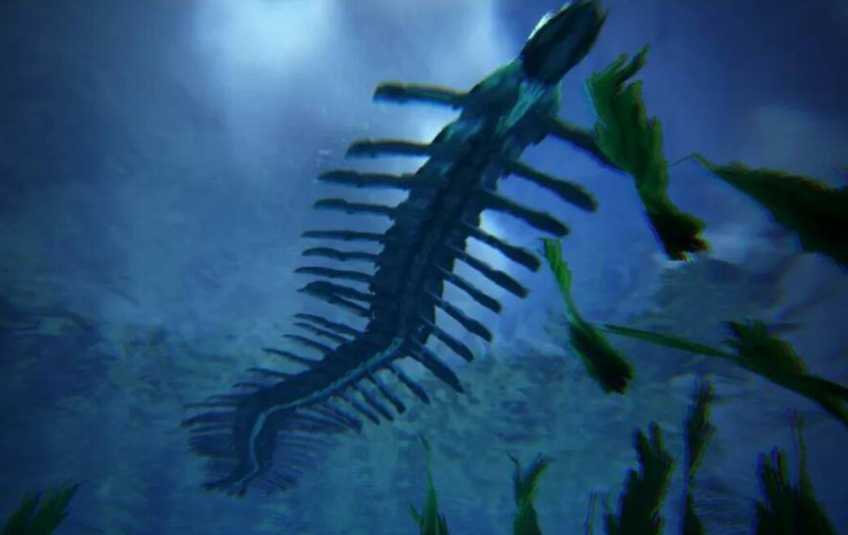 Загадочная морская многоножка нападает на людей.
Источник фото: https://r3.mt.ru/r29/photo3FF0/20852341286-0/jpg/bp.jpeg