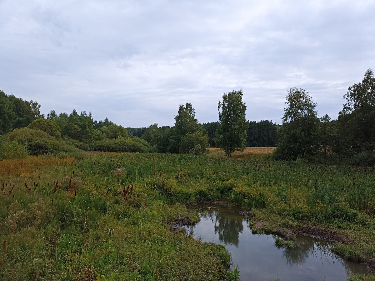 Долина реки Язвенки (фото автора)