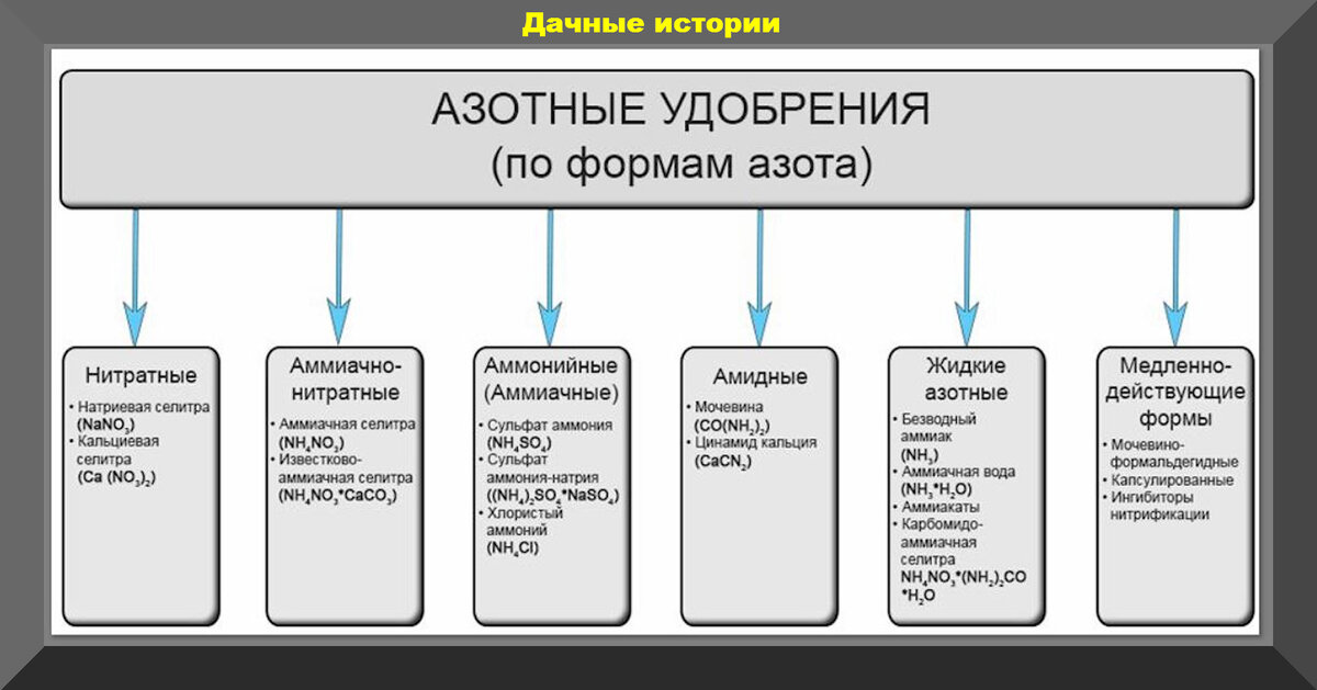 Кальциевая селитра вред