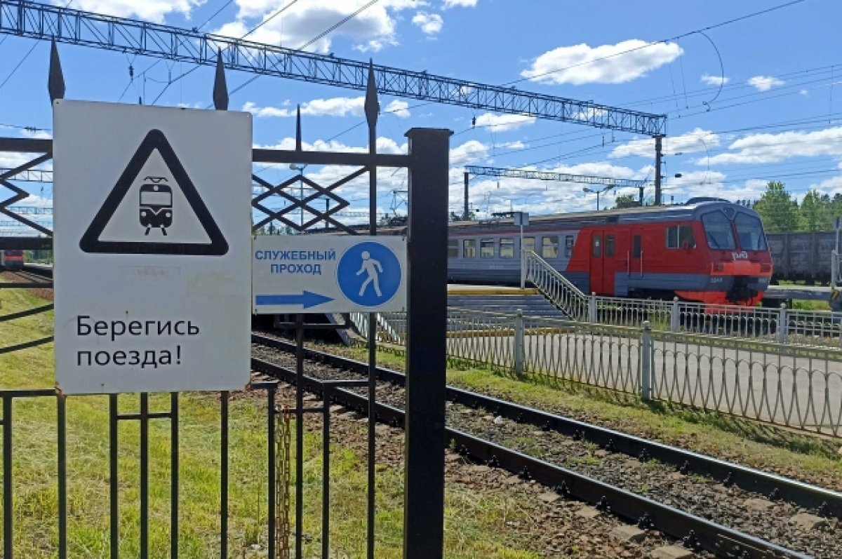    Делая селфи, две девушки попали под электричку в Разливе под Петербургом