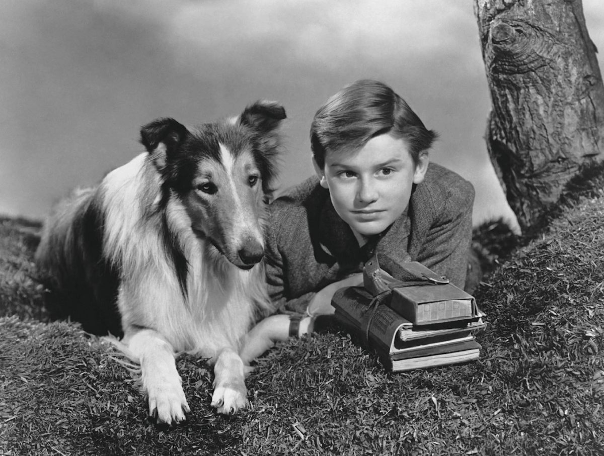 Сам роман, на основе которого сняли последующие фильмы, написали 1940 году. И уже спустя 3 года вышла экранизация, ставшая культовой. 