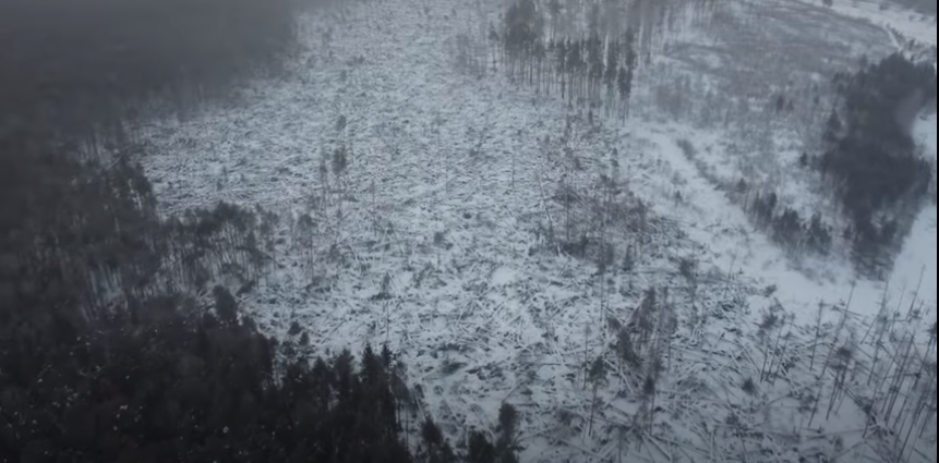 Пешково болото, февраль 2022 г,, аэросъемка Д. Анисимова