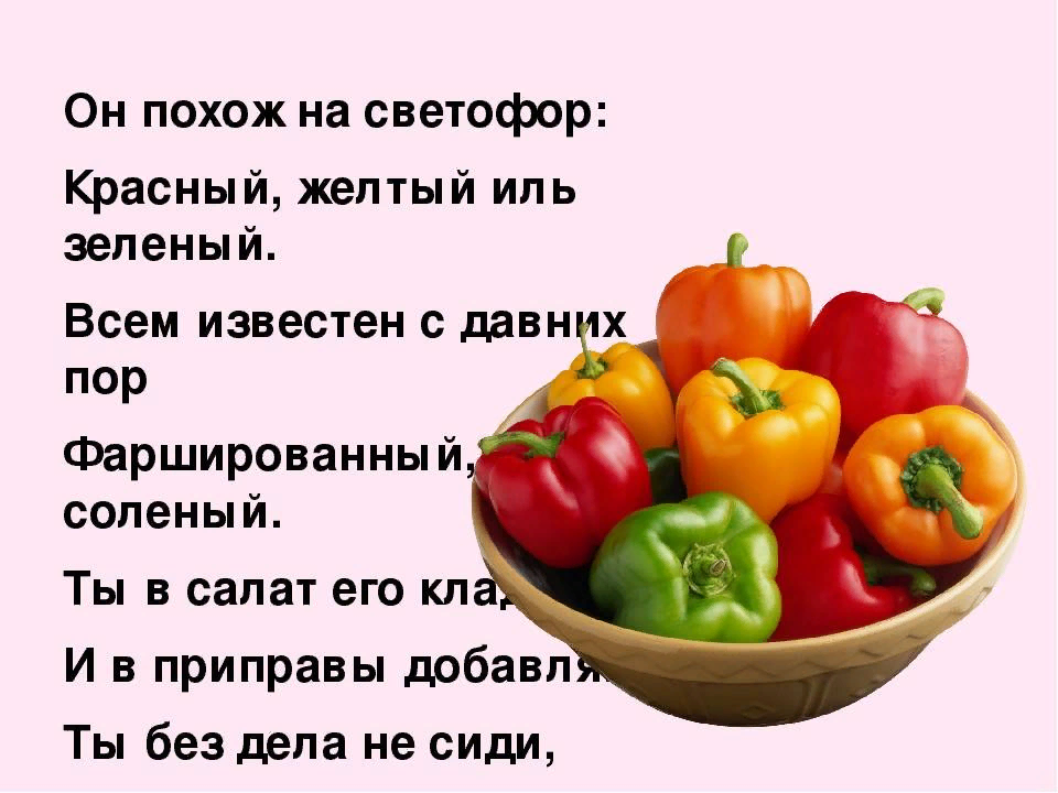 Скачать проект по теме перец 7 класс