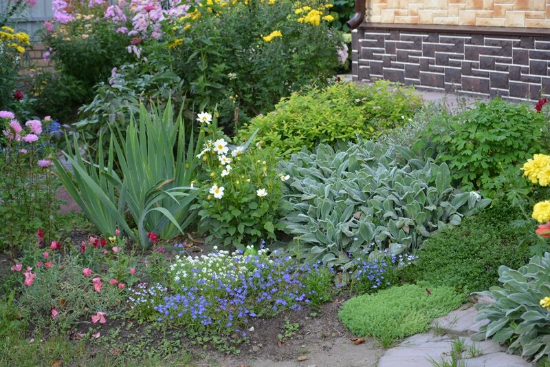 Цветник на склоне в августе 2023 года (Московская область)