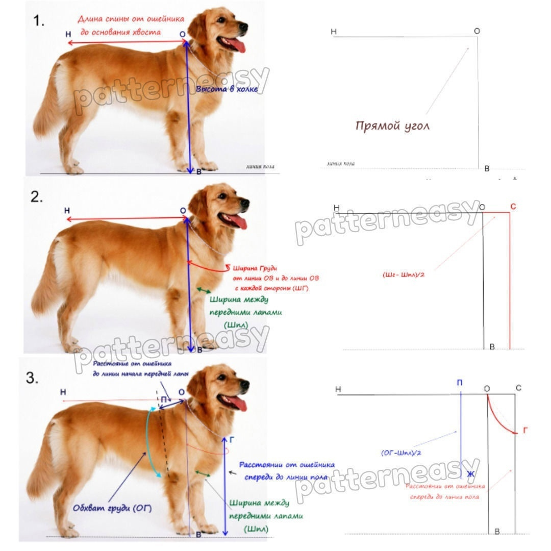 Базовая выкройка для собак | Шить просто — демонтаж-самара.рф