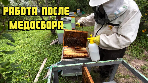 Пчеловодство видео для начинающих