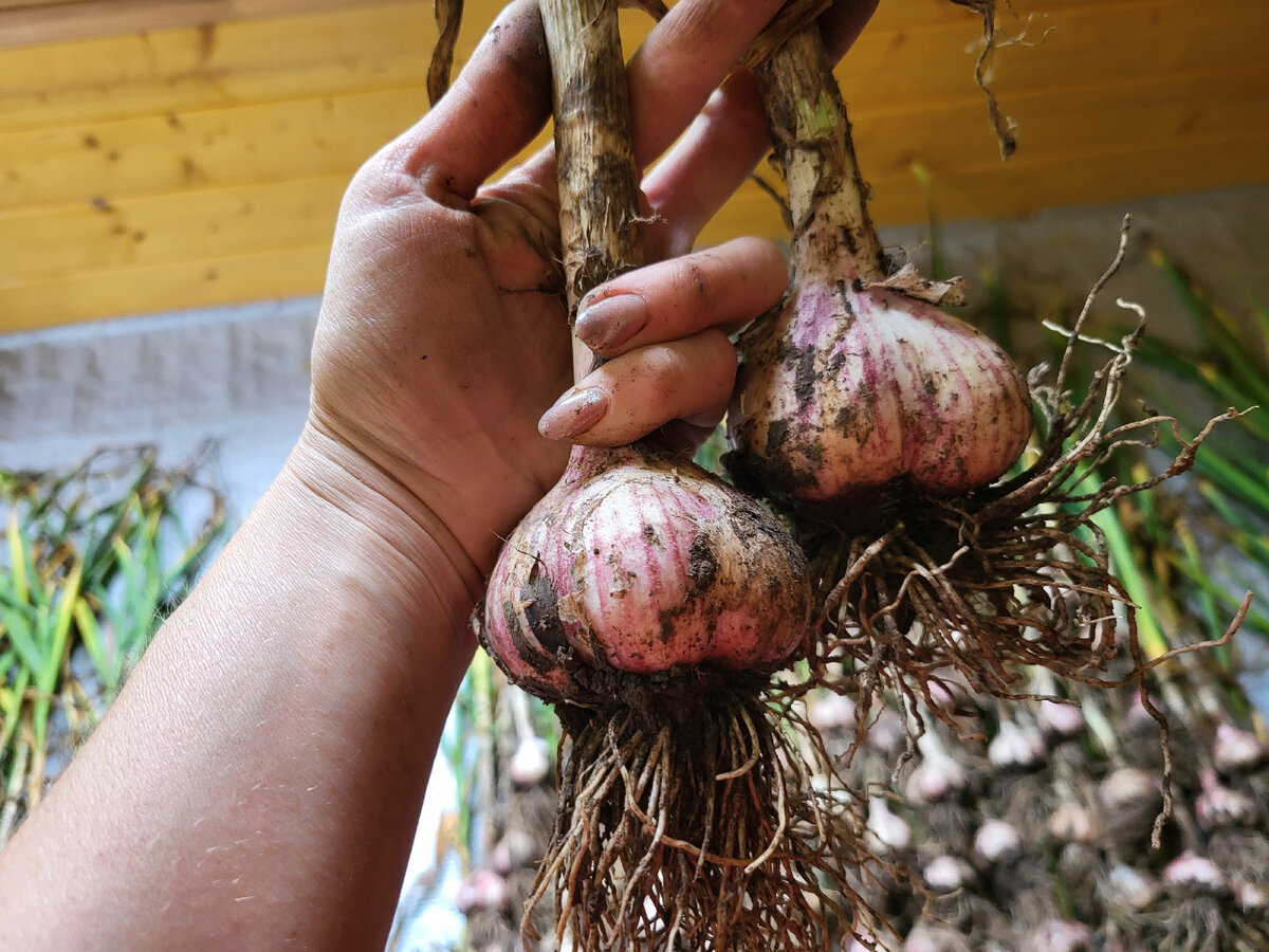 В статье использованы фото автора 