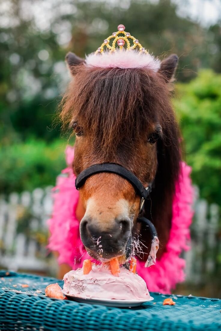 Фото из открытых источников.