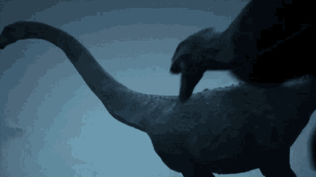 Когда пытаешься поймать собаку и достать у неё из пасти то, что она схватила. 