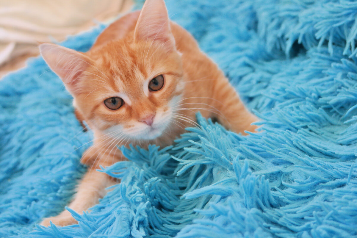 Фото из домашнего архива