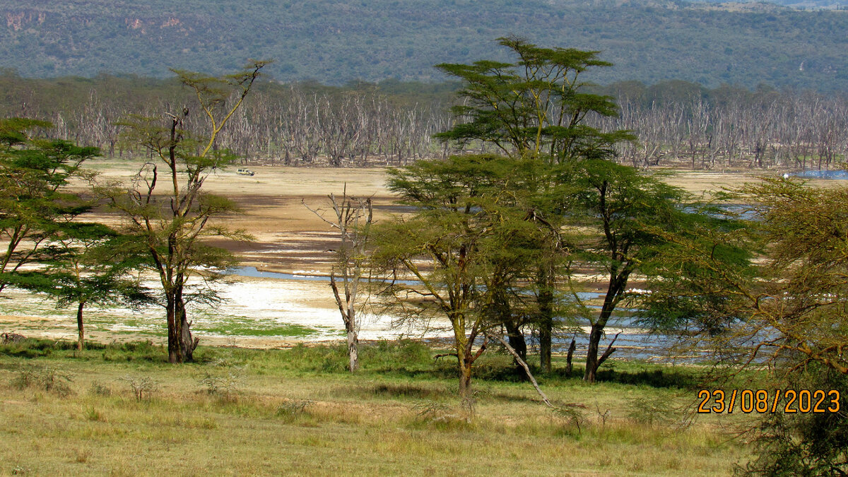 По дороге к озеру