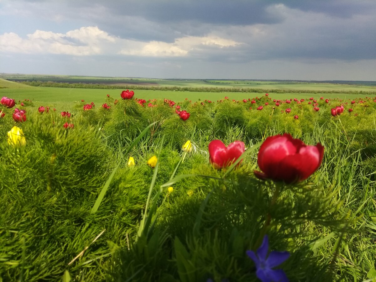 Окрестности Симферополя