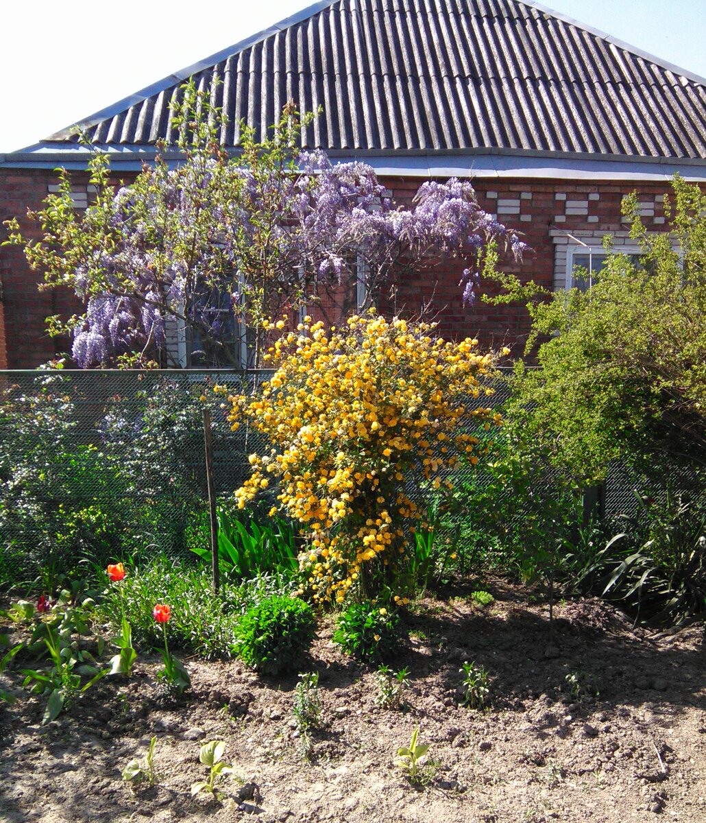 Мой дом! Фотографировала весной, как раз перед пасхой.