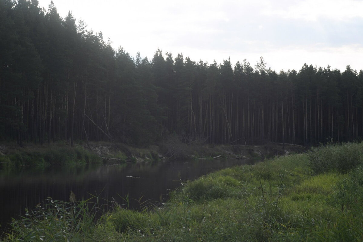 Река Уж, где я пополнил свой запас воды.