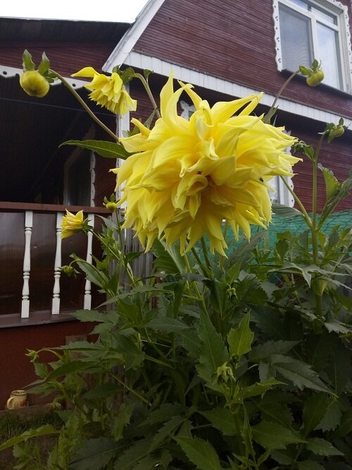 Фото из собственного архива