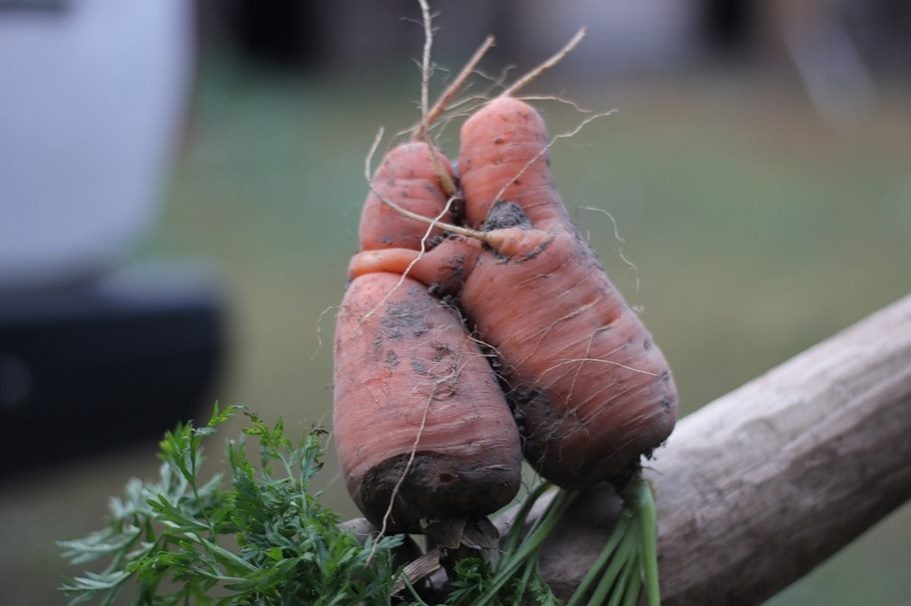 Взято из интернета