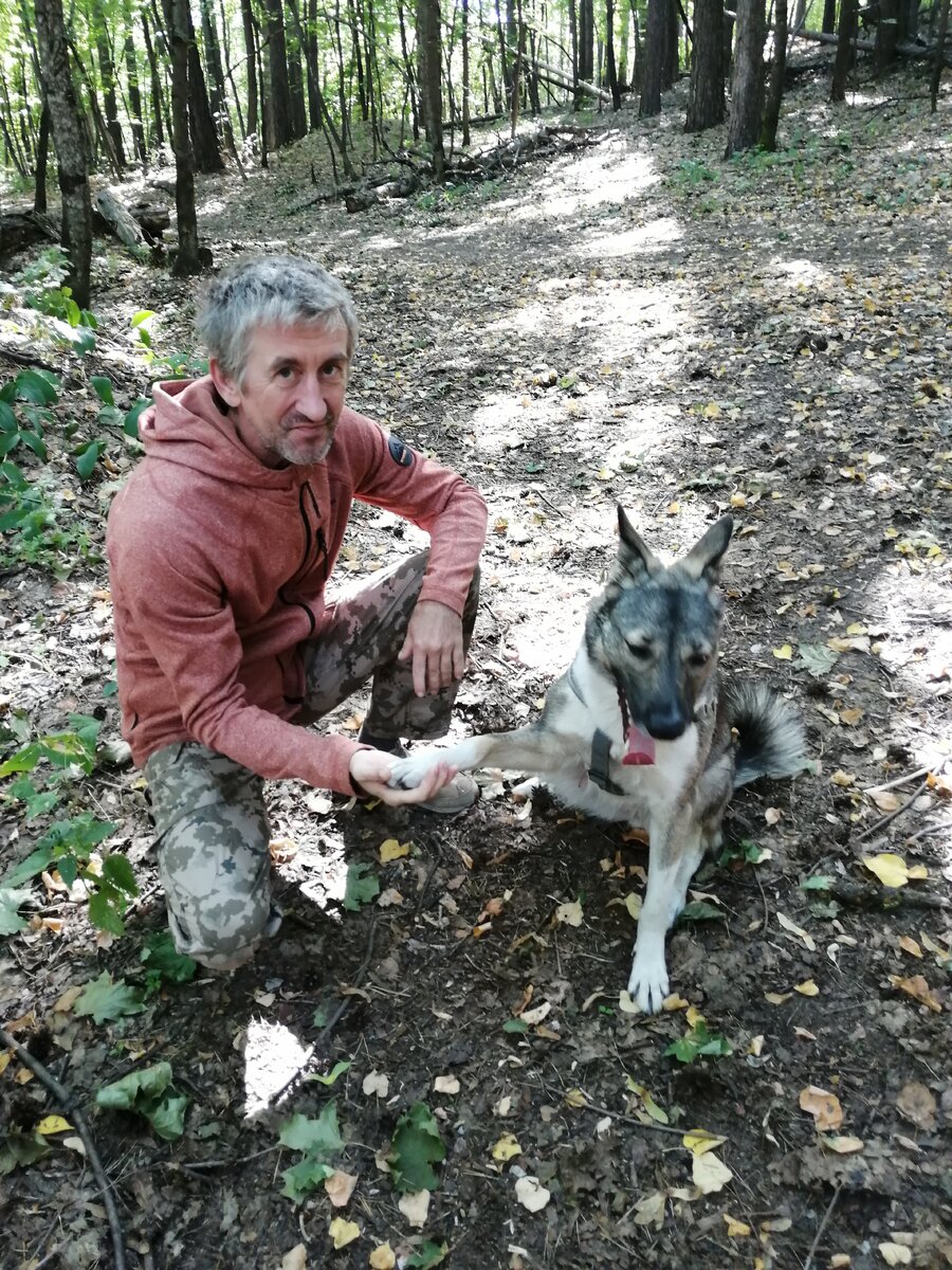 на прогулке в лесу.