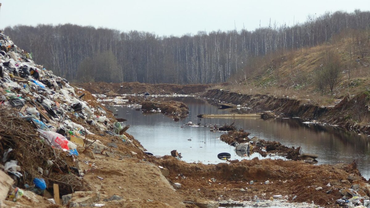 Фильтратная канава Шрёдингера в Воловичах. Её вроде не должно быть, а она неожиданно есть.