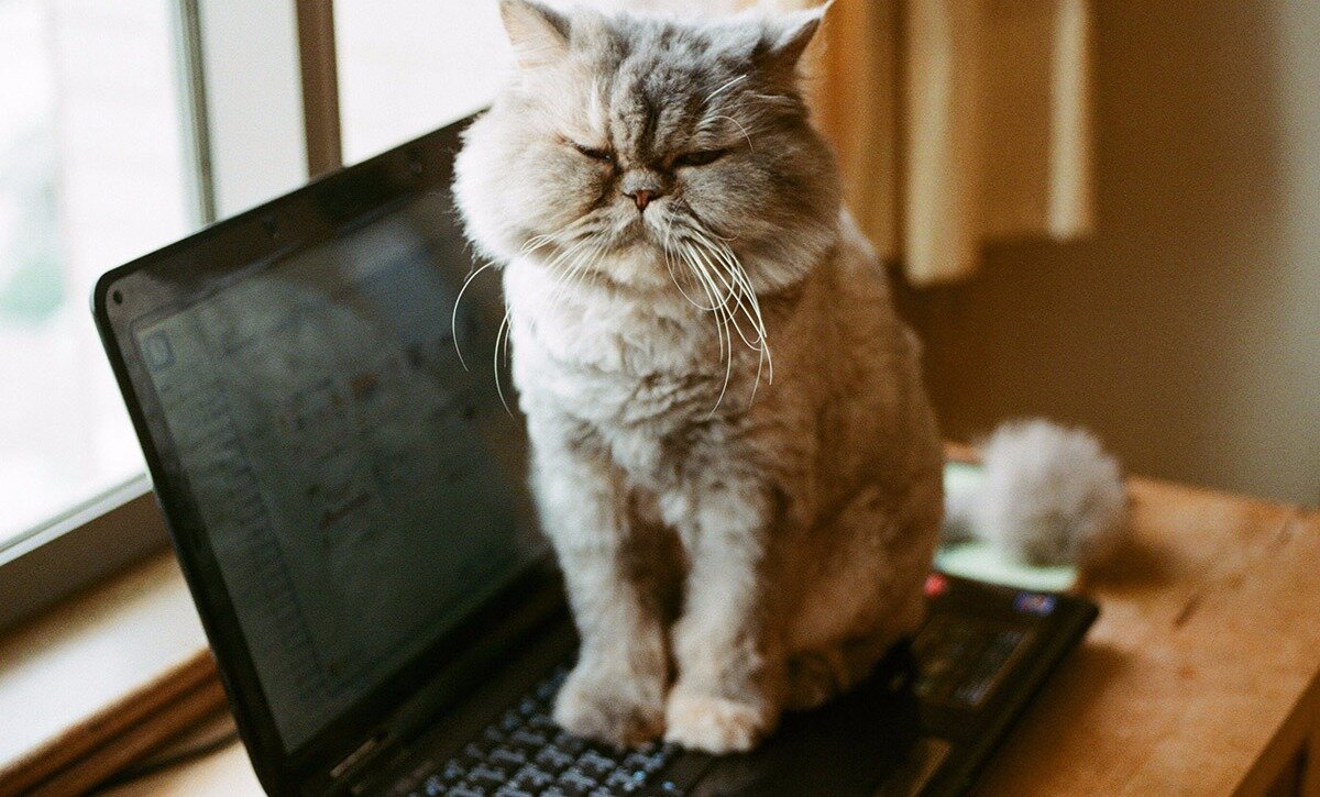 Нету нормальных игр , сам играй в свой  Assasin creed 