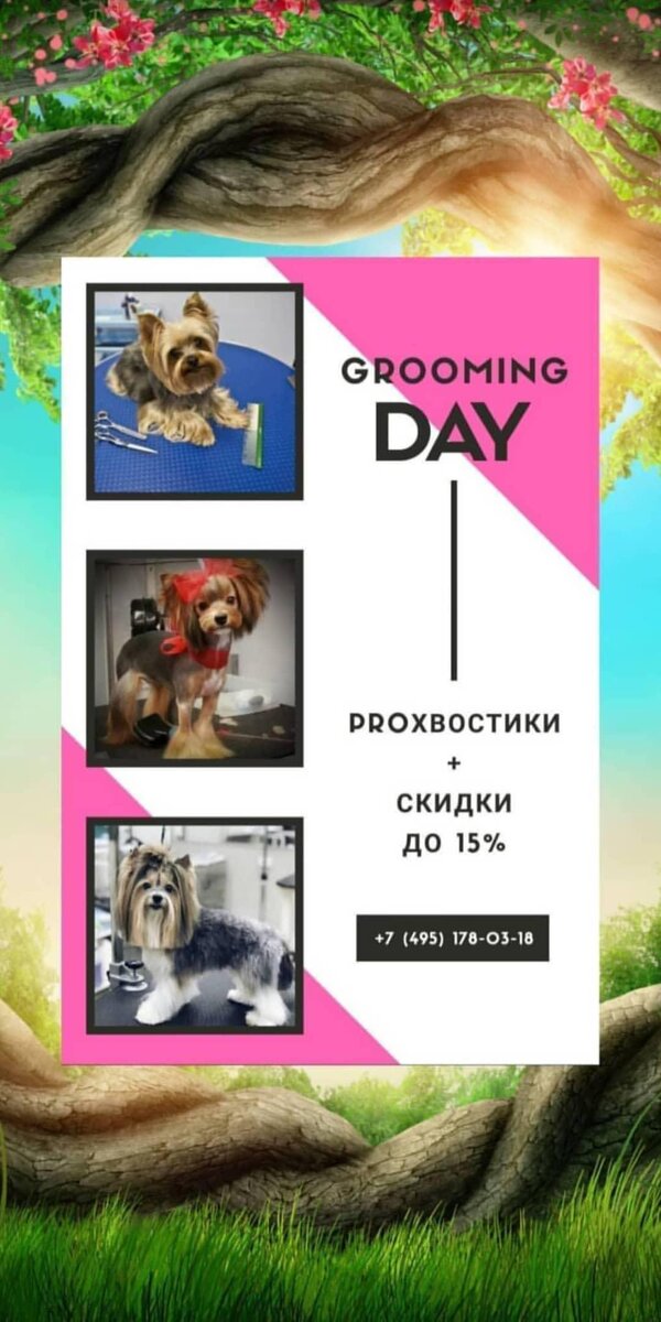 Работа смм специалиста @angelskui