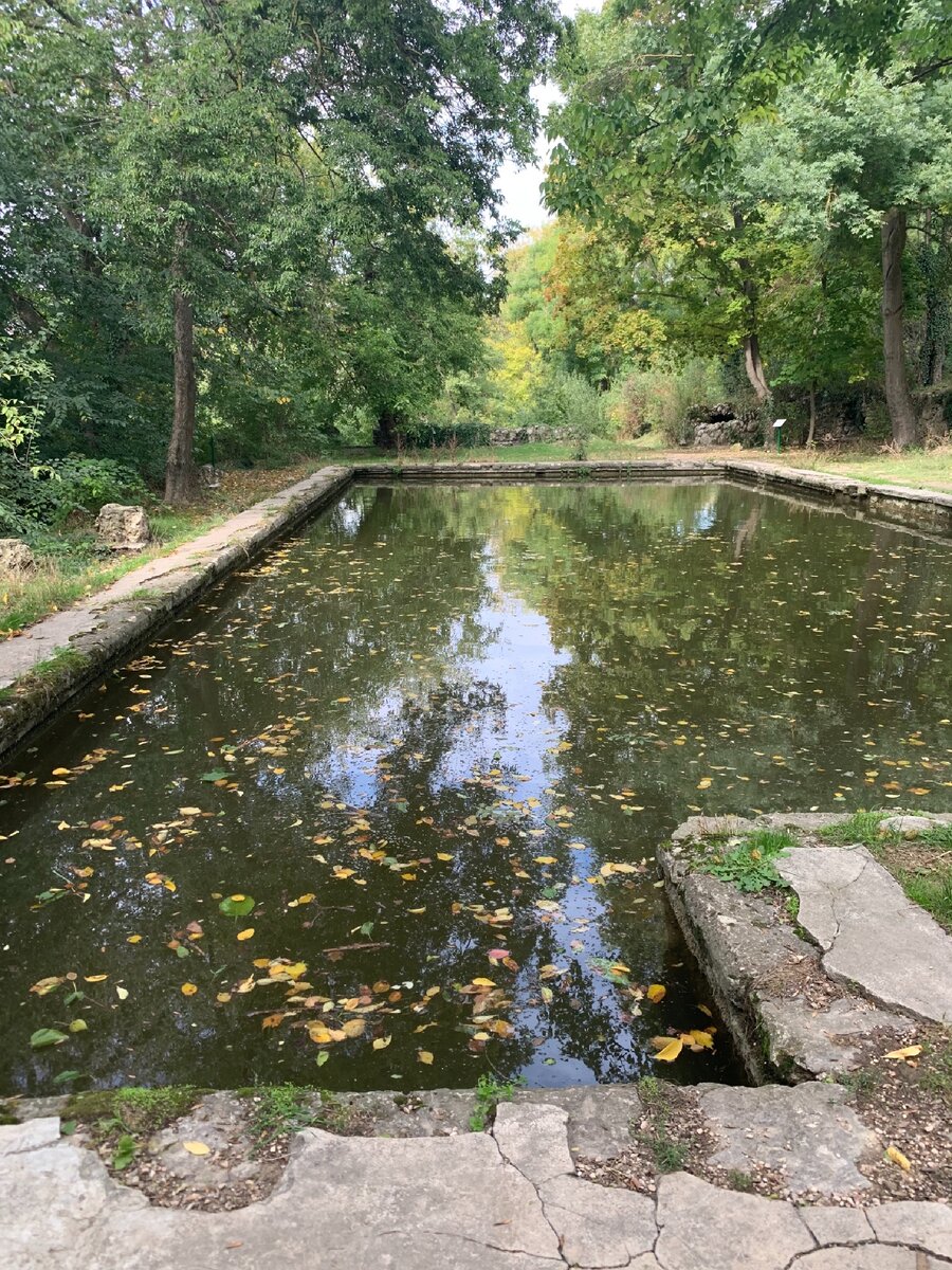 Основной бассейн