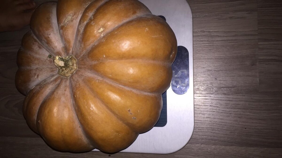 25 кг живого веса. Фото из личного архива