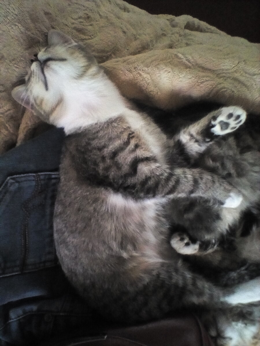 Фото снято на прошлой неделе