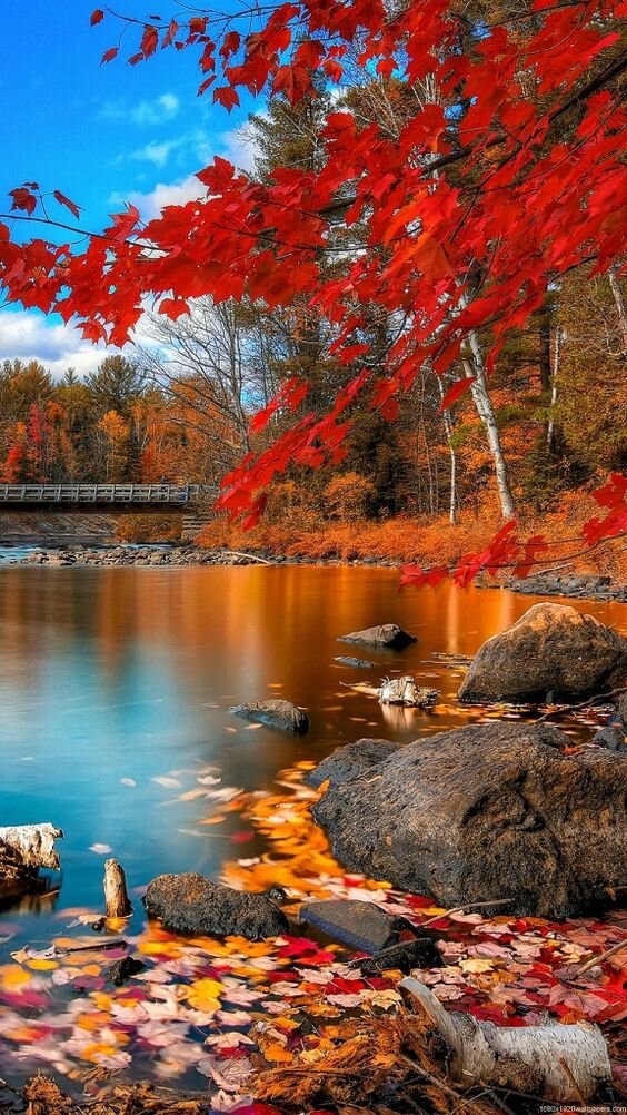 http://prettyinspiration.com/beautiful-autumn-wallpapers/