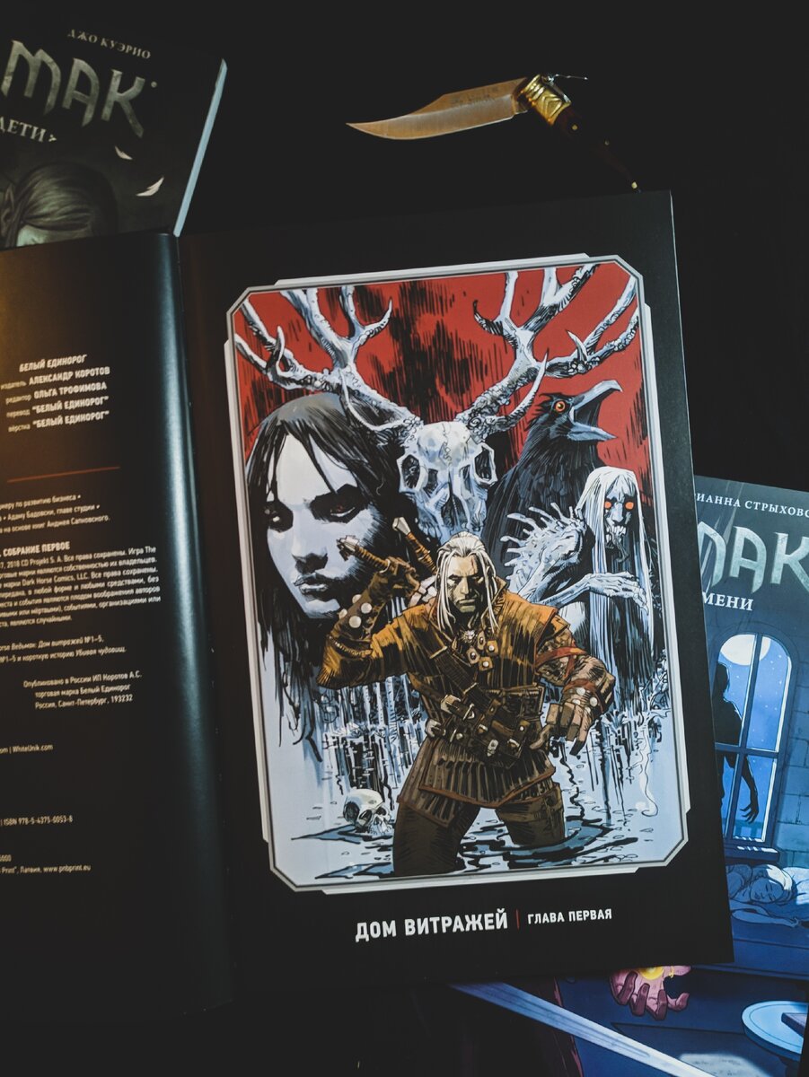 Обложка Дома Витражей, первого приключения Геральта в комиксах от Dark Horse
