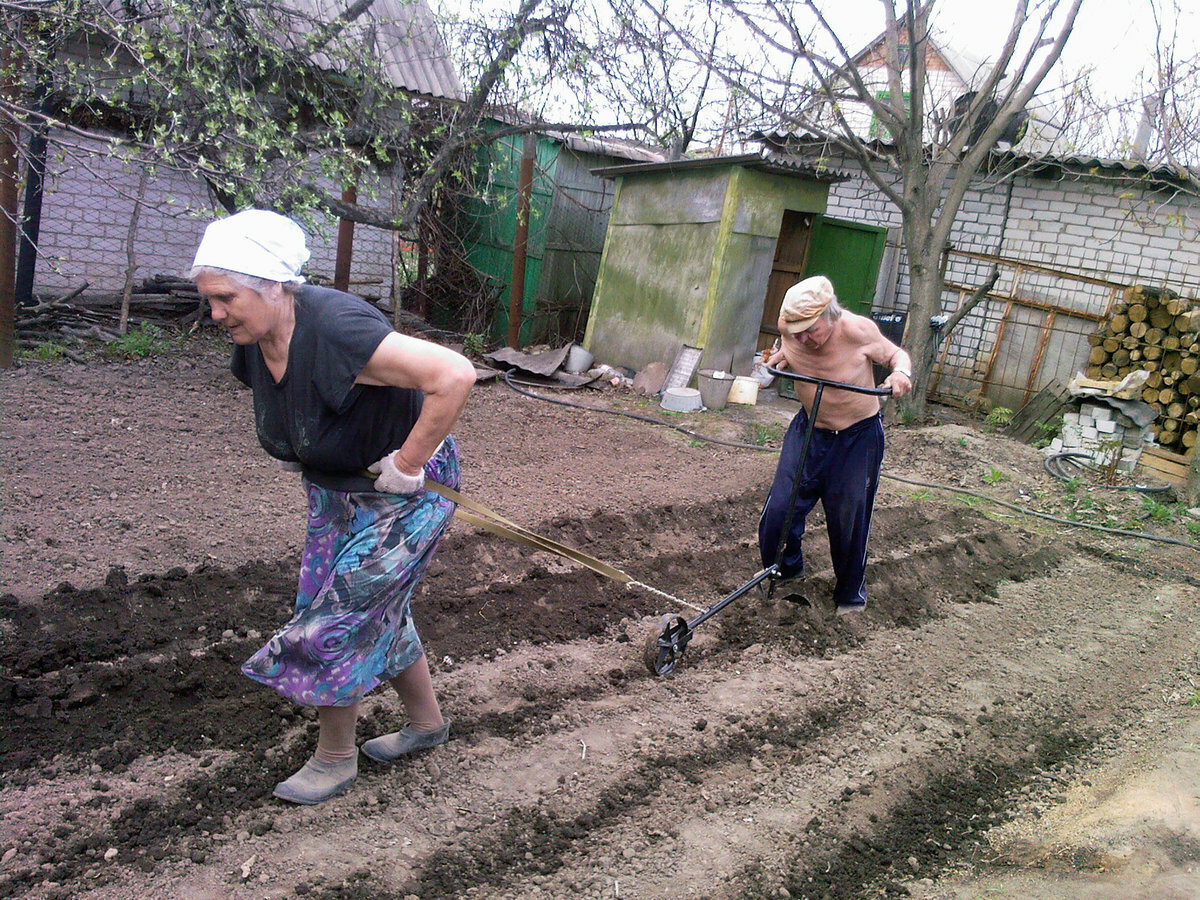 Пенсионеры в огороде