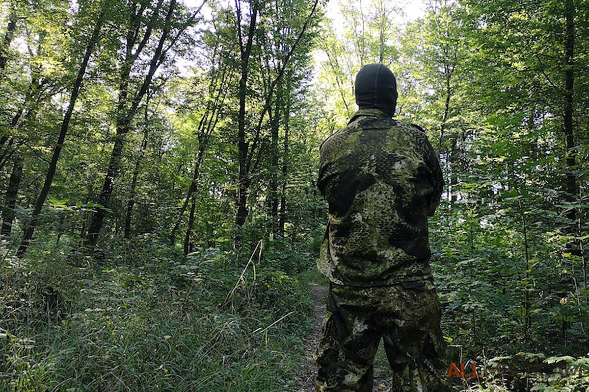 Расцветка WASP II Z3a способна камуфлировать и обманывать зрение